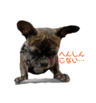sia's mood2（個別スタンプ：8）