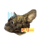 sia's mood2（個別スタンプ：11）