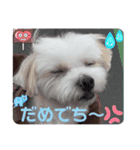 めりる2023（個別スタンプ：5）