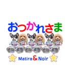マティラとノアールのかわいいスタンプ（個別スタンプ：1）