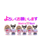 マティラとノアールのかわいいスタンプ（個別スタンプ：2）