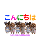 マティラとノアールのかわいいスタンプ（個別スタンプ：3）