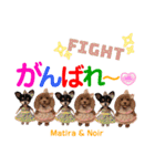 マティラとノアールのかわいいスタンプ（個別スタンプ：4）