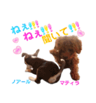 マティラとノアールのかわいいスタンプ（個別スタンプ：9）