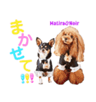 マティラとノアールのかわいいスタンプ（個別スタンプ：13）