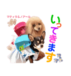 マティラとノアールのかわいいスタンプ（個別スタンプ：19）
