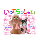 マティラとノアールのかわいいスタンプ（個別スタンプ：20）
