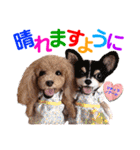 マティラとノアールのかわいいスタンプ（個別スタンプ：22）