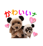 マティラとノアールのかわいいスタンプ（個別スタンプ：36）