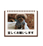 愛月空（個別スタンプ：1）