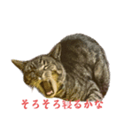 愛月空（個別スタンプ：5）