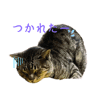 愛月空（個別スタンプ：7）