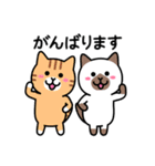 ちびねこワールド 敬語編（個別スタンプ：14）