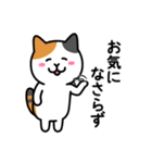 ちびねこワールド 敬語編（個別スタンプ：16）