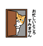 ちびねこワールド 敬語編（個別スタンプ：36）