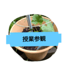 月山線スタンプ日薬碁胡瓜壱ふな（個別スタンプ：3）