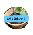 月山線スタンプ日薬碁胡瓜壱ふな（個別スタンプ：4）