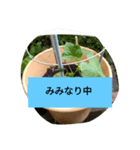 月山線スタンプ日薬碁胡瓜壱ふな（個別スタンプ：6）