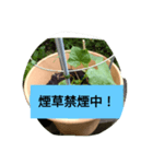 月山線スタンプ日薬碁胡瓜壱ふな（個別スタンプ：7）