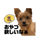 ノアの気持ち、（個別スタンプ：25）