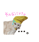 マイペースなローちゃんのスタンプ（個別スタンプ：2）