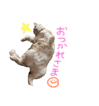 マイペースなローちゃんのスタンプ（個別スタンプ：4）