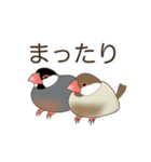 文鳥のぶん＆もか2（個別スタンプ：11）