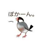 文鳥のぶん＆もか2（個別スタンプ：23）