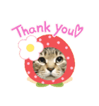 うちのKO✨（個別スタンプ：3）