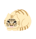うちのKO✨（個別スタンプ：5）