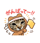 うちのKO✨（個別スタンプ：11）