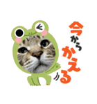 うちのKO✨（個別スタンプ：12）