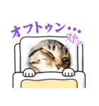 うちのKO✨（個別スタンプ：13）
