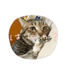 うちのKO✨（個別スタンプ：18）