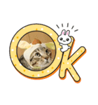 うちのKO✨（個別スタンプ：22）