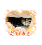 うちのKO✨（個別スタンプ：23）