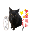 くろねこくろの方言スタンプ:庄内弁②（個別スタンプ：1）