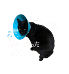 くろねこくろの方言スタンプ:庄内弁②（個別スタンプ：5）