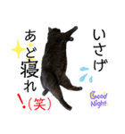 くろねこくろの方言スタンプ:庄内弁②（個別スタンプ：7）