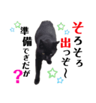くろねこくろの方言スタンプ:庄内弁②（個別スタンプ：17）