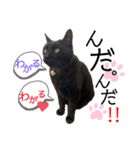 くろねこくろの方言スタンプ:庄内弁②（個別スタンプ：22）