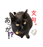 くろねこくろの方言スタンプ:庄内弁②（個別スタンプ：26）