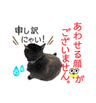 くろねこくろの方言スタンプ:庄内弁②（個別スタンプ：27）