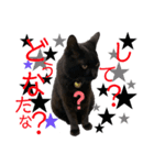 くろねこくろの方言スタンプ:庄内弁②（個別スタンプ：34）