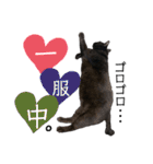 くろねこくろの方言スタンプ:庄内弁②（個別スタンプ：35）