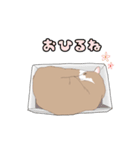 ネコのまったり生活（個別スタンプ：25）