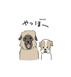 いろんな犬種スタンプ（個別スタンプ：21）