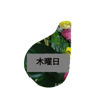 月山線スタンプ日薬寿有胡瓜艮嵯弐（個別スタンプ：14）