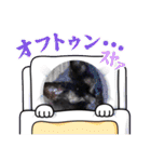 くろ猫さんのスタンプ②（個別スタンプ：5）