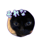 くろ猫さんのスタンプ②（個別スタンプ：7）